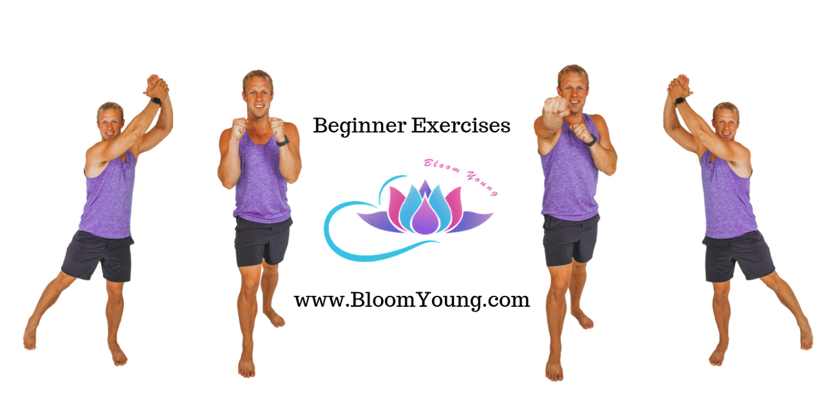 Bloom young low impact workout sale
