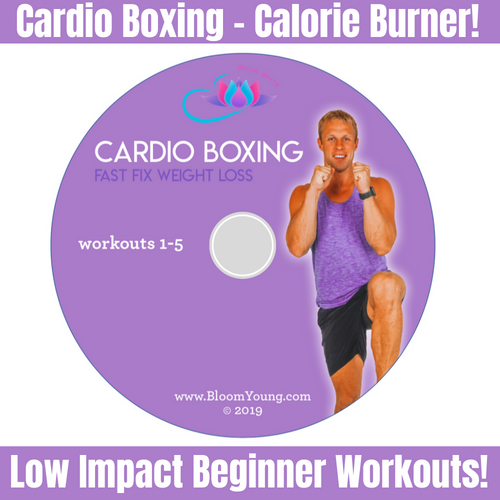 Weight Loss Max - Cardio Boxing DVD